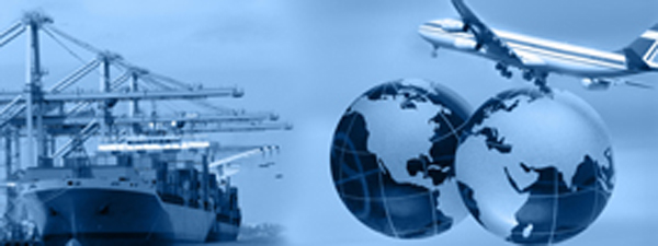 IATA espera para 2015 aumento de la demanda de transporte de carga aérea