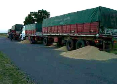 En Argentina se pierden U$S 167 millones en el transporte de granos