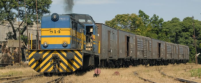 CAF otorga crédito para revitalizar el transporte de carga ferroviario