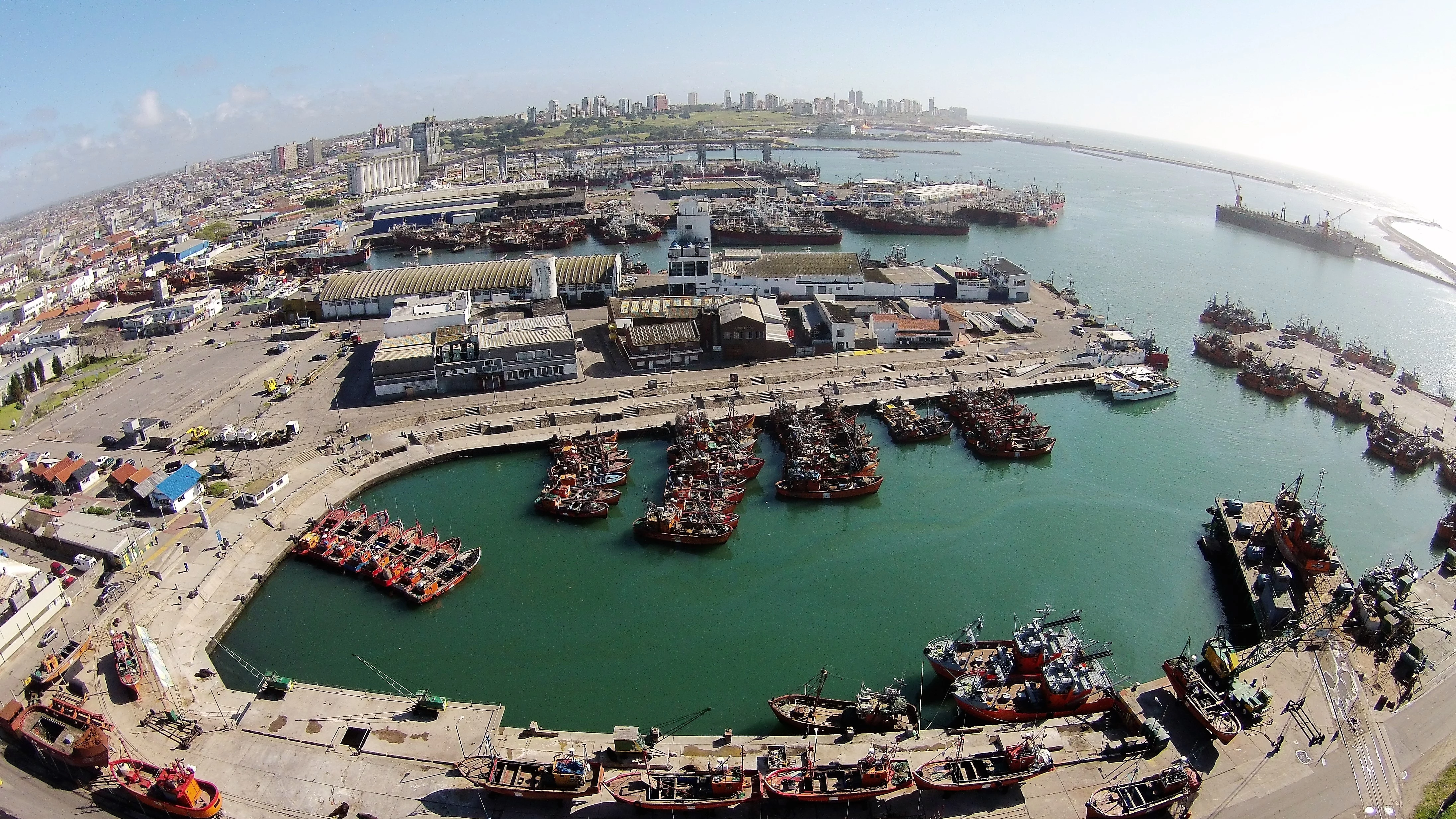 Puerto de Mar del Plata sumará espacios para operaciones de carga