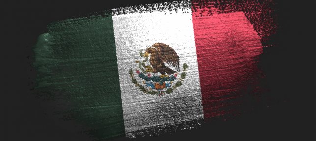 Voces logísticas regionales: México